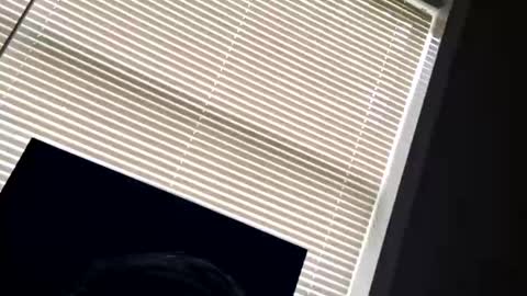 fer28639 online show from September 2025 06:00:01 PM