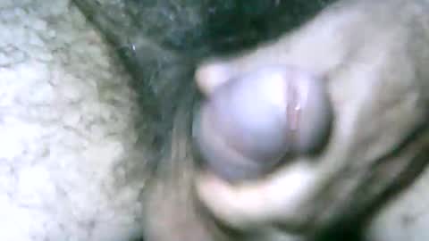 Snapshot of fer_2197 chatting on January 2025 04:29:01 PM fer_2197 online show from January 2025 04:29:01 PM