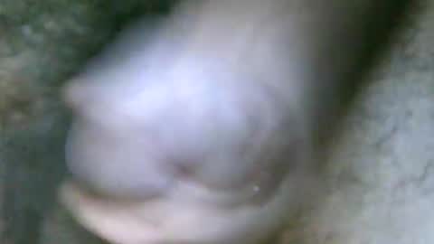 Snapshot of fer_2197 chatting on October 2025 01:45:02 PM fer_2197 online show from October 2025 01:45:02 PM