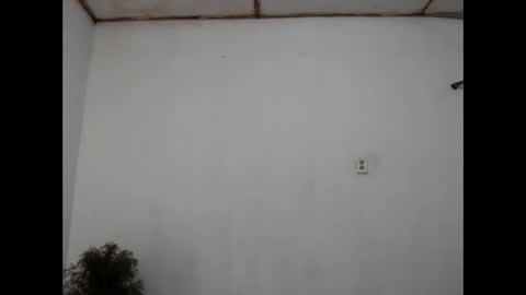 Snapshot of fernandez_latinblack chatting on December 2024 11:28:01 PM fernandez_latinblack online show from December 2024 11:28:01 PM
