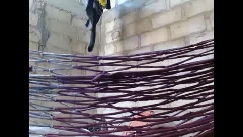 Snapshot of fernandez_latinblack chatting on October 2025 02:12:02 PM fernandez_latinblack online show from October 2025 02:12:02 PM