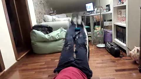 Fid online show from February 2025 08:45:02 PM