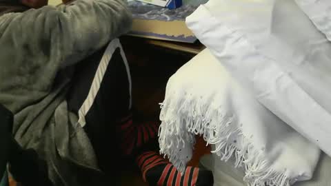 Fid online show from November 2025 09:39:01 PM