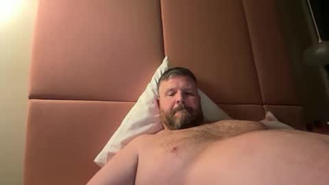 fin bear dom online show from February 2026 01:06:01 AM