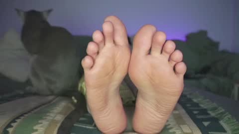 Ashley online show from December 2024 12:02:02 AM