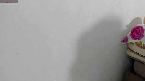 Snapshot of fire_lovex chatting on May 2026 08:22:01 AM fire lovex online show from May 2026 08:22:01 AM