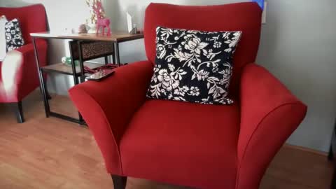 Snapshot of fitlance chatting on December 2024 05:55:01 PM Lance Remington online show from December 2024 05:55:01 PM