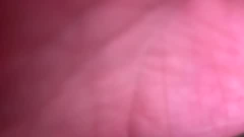 fittallhungdilf online show from December 2024 03:42:02 PM