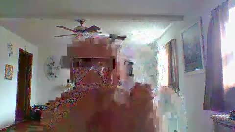 flamale65to online show from May 2026 08:36:01 PM