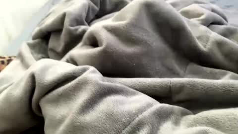 Jat online show from December 2024 03:53:01 PM