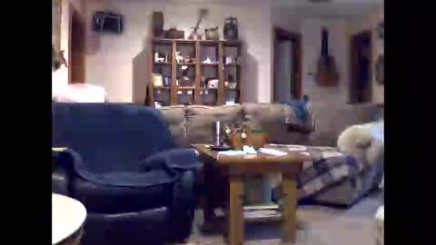 Snapshot of flipd chatting on February 2026 04:19:02 AM flipd online show from February 2026 04:19:02 AM