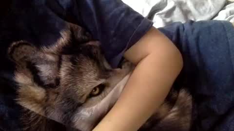 floraexploration online show from December 2024 11:22:02 AM