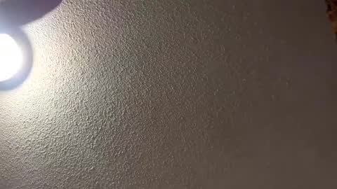 Snapshot of followthewhiterabbittail chatting on February 2025 08:10:02 AM Have fun remembering u online show from February 2025 08:10:02 AM