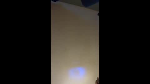 Snapshot of followthewhiterabbittail chatting on September 2025 03:14:01 PM Have fun remembering u online show from September 2025 03:14:01 PM