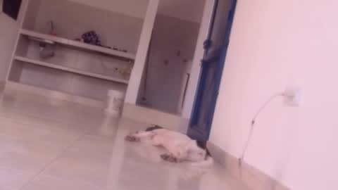 Snapshot of forbidden_games__ chatting on December 2024 10:05:01 PM emely and felix online show from December 2024 10:05:01 PM