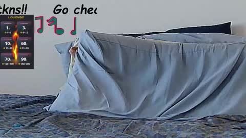 doc online show from October 2025 01:37:01 PM