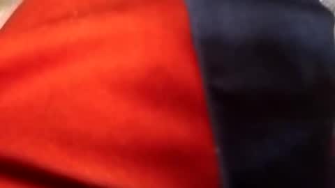 francis158915 online show from September 2025 05:02:02 PM