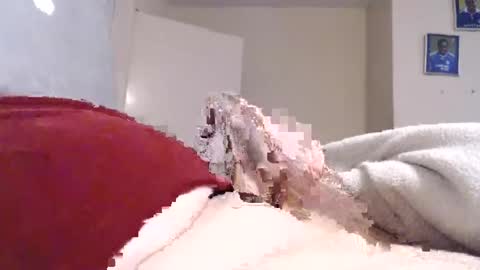 Snapshot of frankiel745 chatting on December 2024 12:40:02 PM frankiel745 online show from December 2024 12:40:02 PM