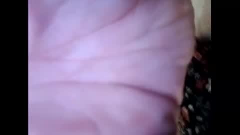 frecklesandsparky online show from April 2026 02:25:01 PM