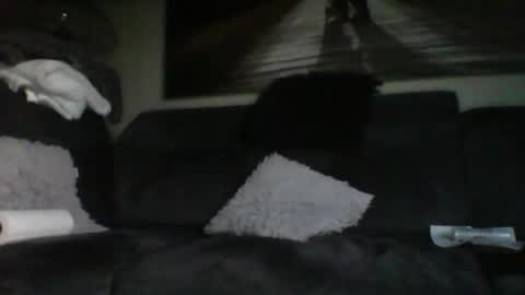 Snapshot of fredo76491 chatting on October 2025 04:52:01 PM fredo76491 online show from October 2025 04:52:01 PM