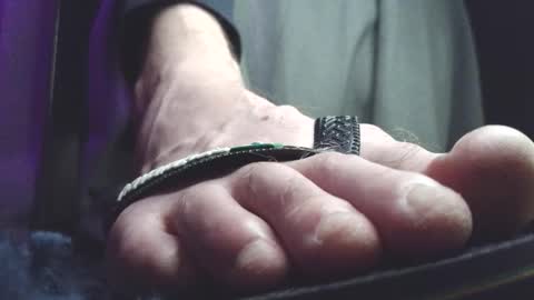 Greedy Fred online show from March 2026 01:56:02 AM