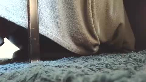 Greedy Fred online show from July 2026 01:49:01 PM