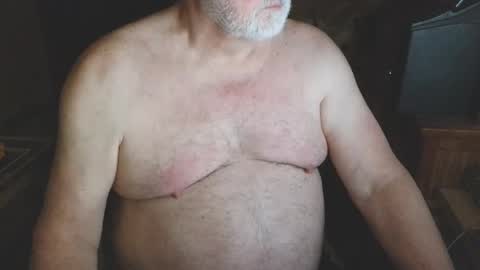 free_amos online show from April 2026 06:44:02 AM