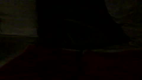 Snapshot of french_dick_20 chatting on June 2026 06:06:02 PM french_dick_20 online show from June 2026 06:06:02 PM