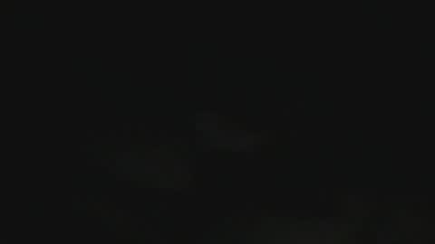 French Sailor online show from November 2025 12:53:02 PM