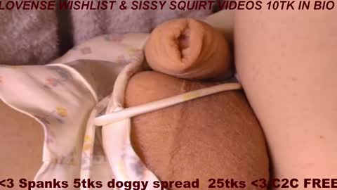 Meadow online show from March 2026 09:33:02 AM