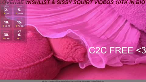 Meadow online show from March 2026 10:59:02 AM