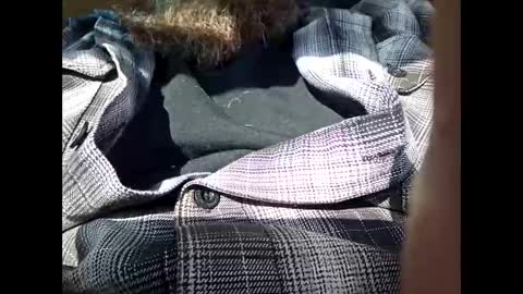 Snapshot of frickish chatting on January 2025 06:55:02 PM Frickish online show from January 2025 06:55:02 PM