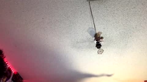 Fabian online show from April 2026 07:53:01 AM