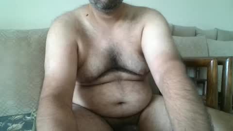 fruti loops  Bull online show from June 2026 09:03:02 AM