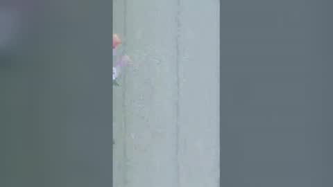 La online show from March 2026 09:24:02 AM