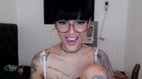 Princess Anna online show from December 2025 12:01:02 PM