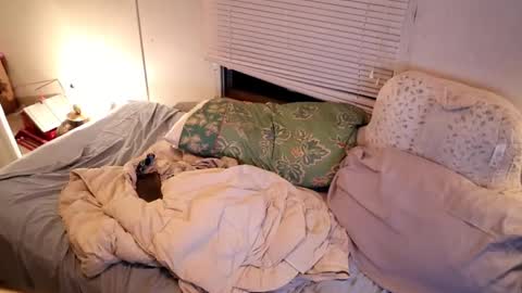 fuckmypussyplz1 online show from September 2025 02:55:01 AM