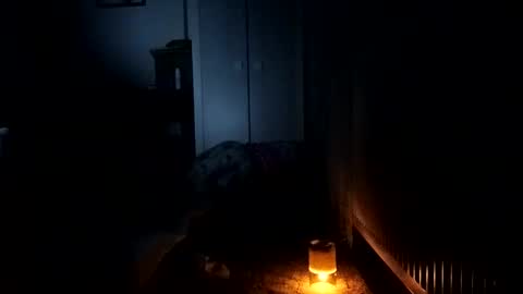 fufuihawa online show from December 2024 08:02:01 PM