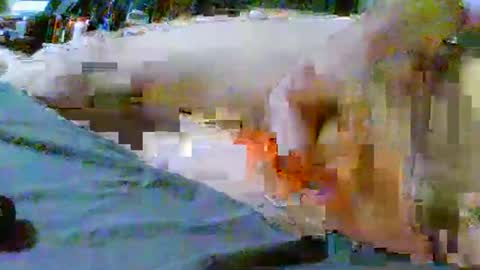 fultonstreet196860 online show from February 2026 03:00:02 AM