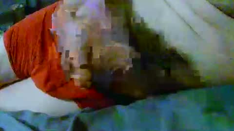 fultonstreet196860 online show from April 2026 11:46:02 PM