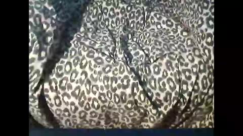 Snapshot of funcyman3 chatting on April 2026 04:03:01 PM funcyman3 online show from April 2026 04:03:01 PM