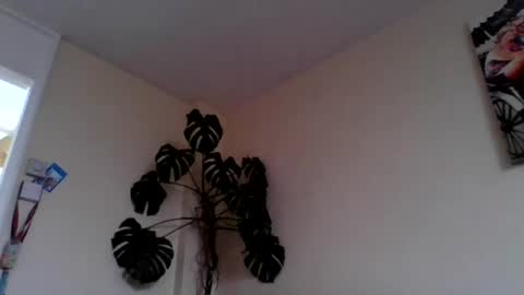 Snapshot of funn333222 chatting on June 2026 10:28:02 AM funn333222 online show from June 2026 10:28:02 AM