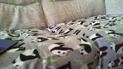 Funslimguy online show from December 2024 03:46:02 PM