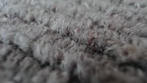 Snapshot of fuzzzman chatting on January 2026 05:11:02 AM Mark online show from January 2026 05:11:02 AM