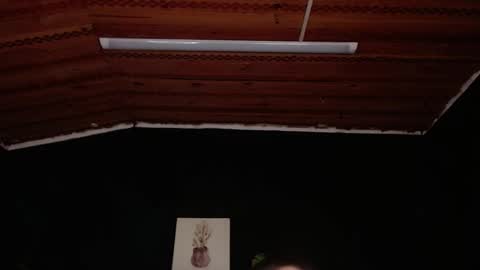 FIRE AND FOX online show from November 2025 06:56:02 PM