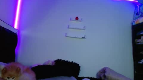 Snapshot of fysste_ chatting on March 2025 12:00:02 AM Victoria online show from March 2025 12:00:02 AM