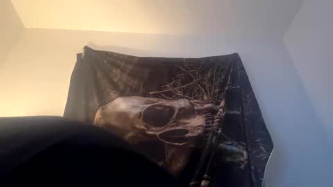 Snapshot of gabethier25 chatting on January 2025 11:49:01 AM yeeah online show from January 2025 11:49:01 AM