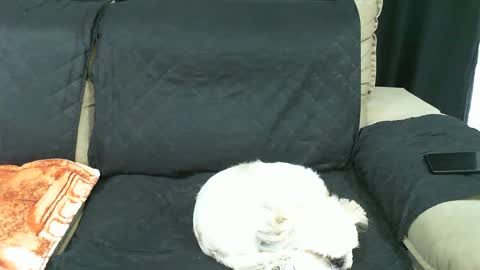 gaby  layla online show from January 2025 09:36:01 PM