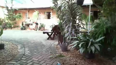 gaby  layla online show from January 2025 08:22:02 PM