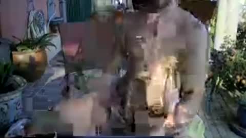 galleguin1 online show from June 2026 06:39:01 PM